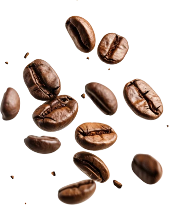 cafe_1